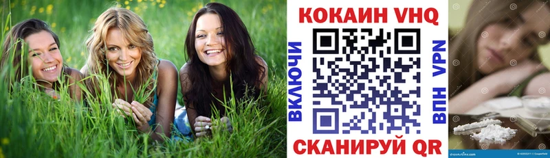 как найти закладки МЕГА ссылка COCAIN FishScale Черногорск