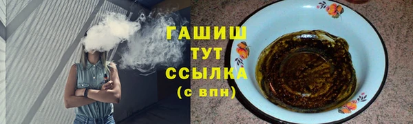 индика Новозыбков