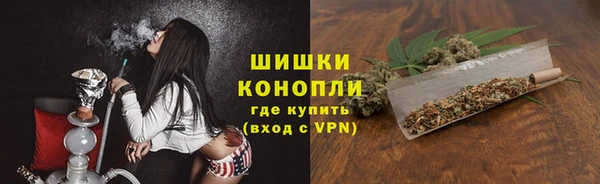 индика Новозыбков