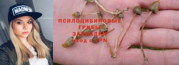спайс Новокубанск