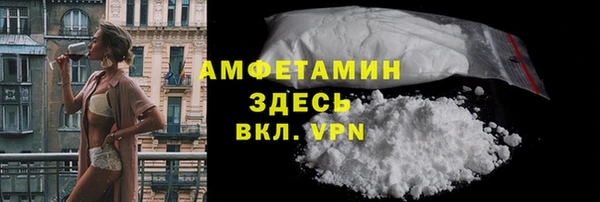 индика Новозыбков