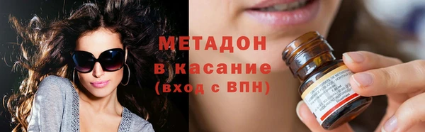индика Новозыбков