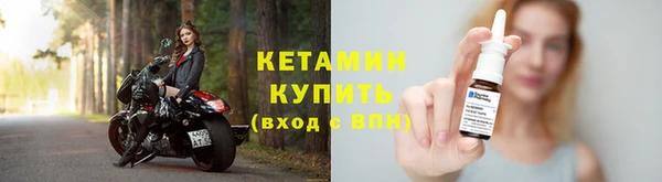 индика Новозыбков
