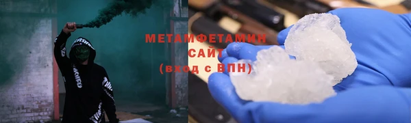 индика Новозыбков