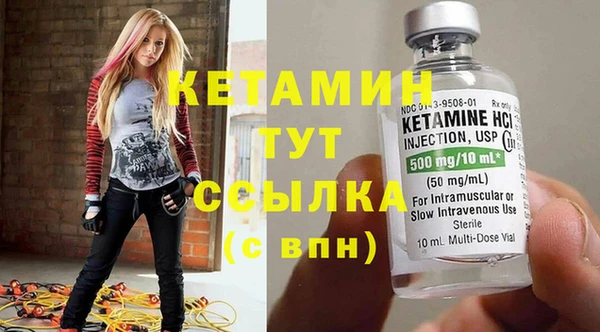 индика Новозыбков