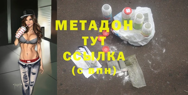 индика Новозыбков