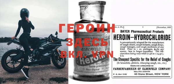 индика Новозыбков