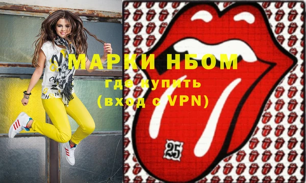 индика Новозыбков