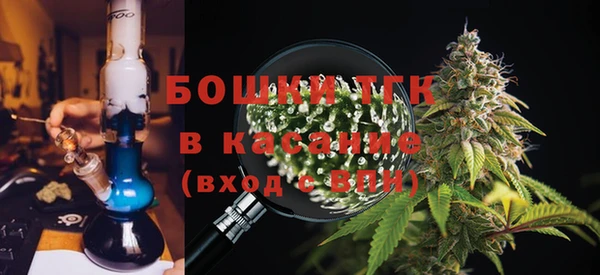 индика Новозыбков