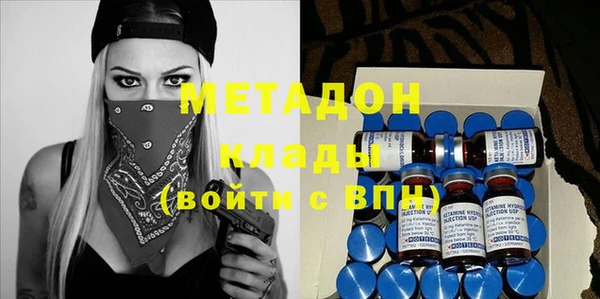 индика Новозыбков