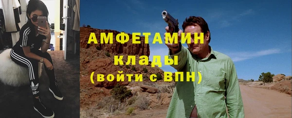 индика Новозыбков