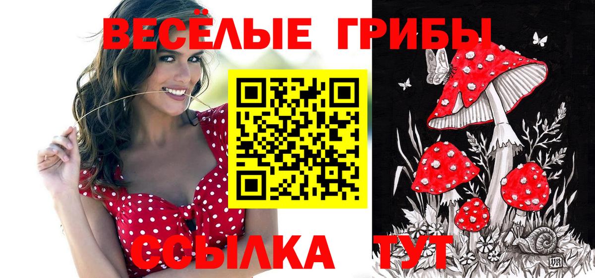 Галлюциногенные грибы Magic Shrooms Черногорск