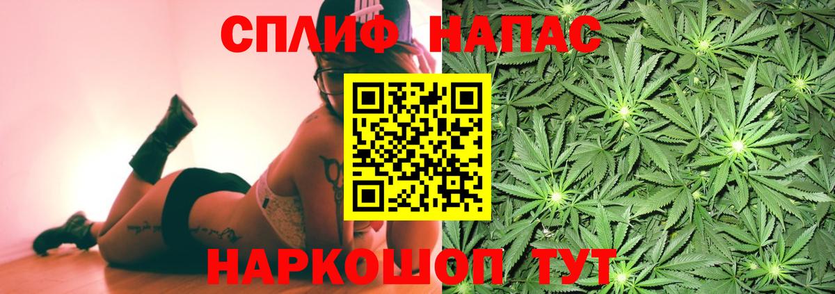Канабис Ganja Черногорск
